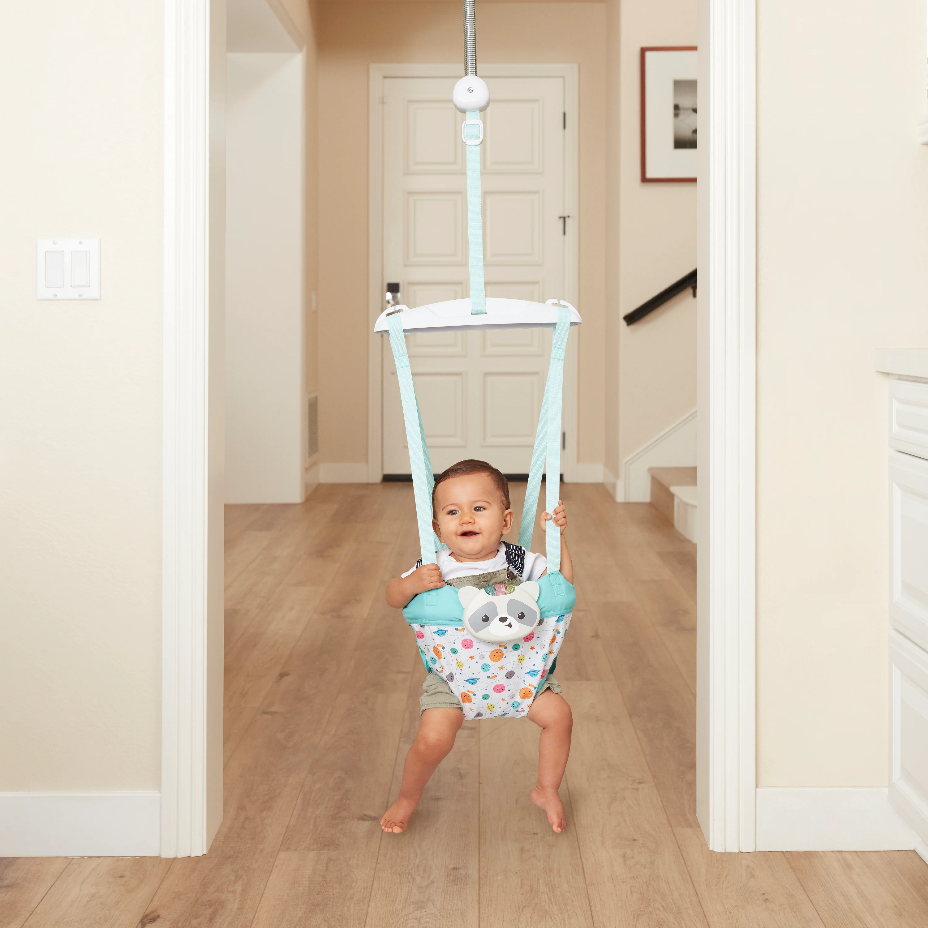 2-in-1 Music & Lights Doorway Jumper - Raccoon - Image 9