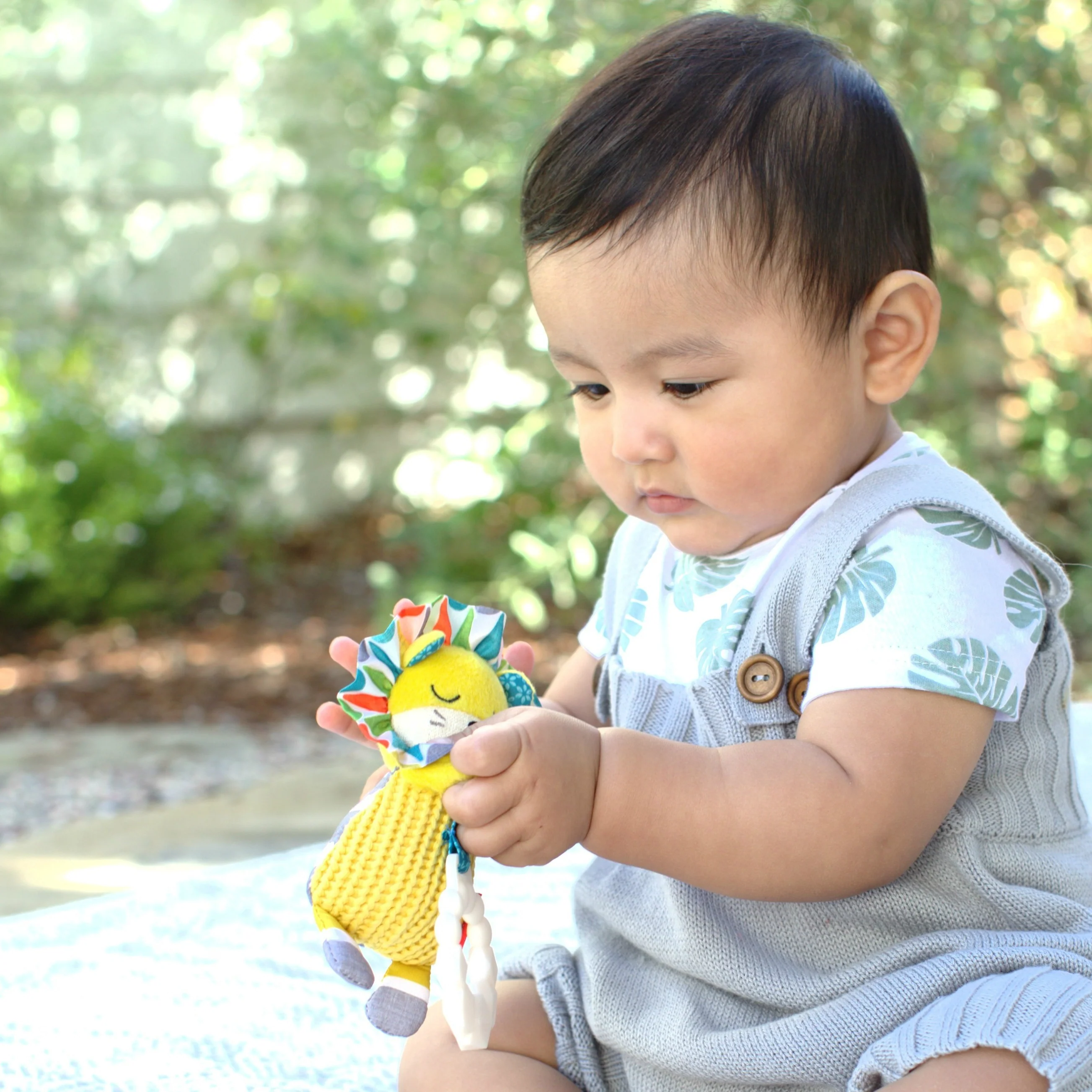 Chime™ Lion - Image 3