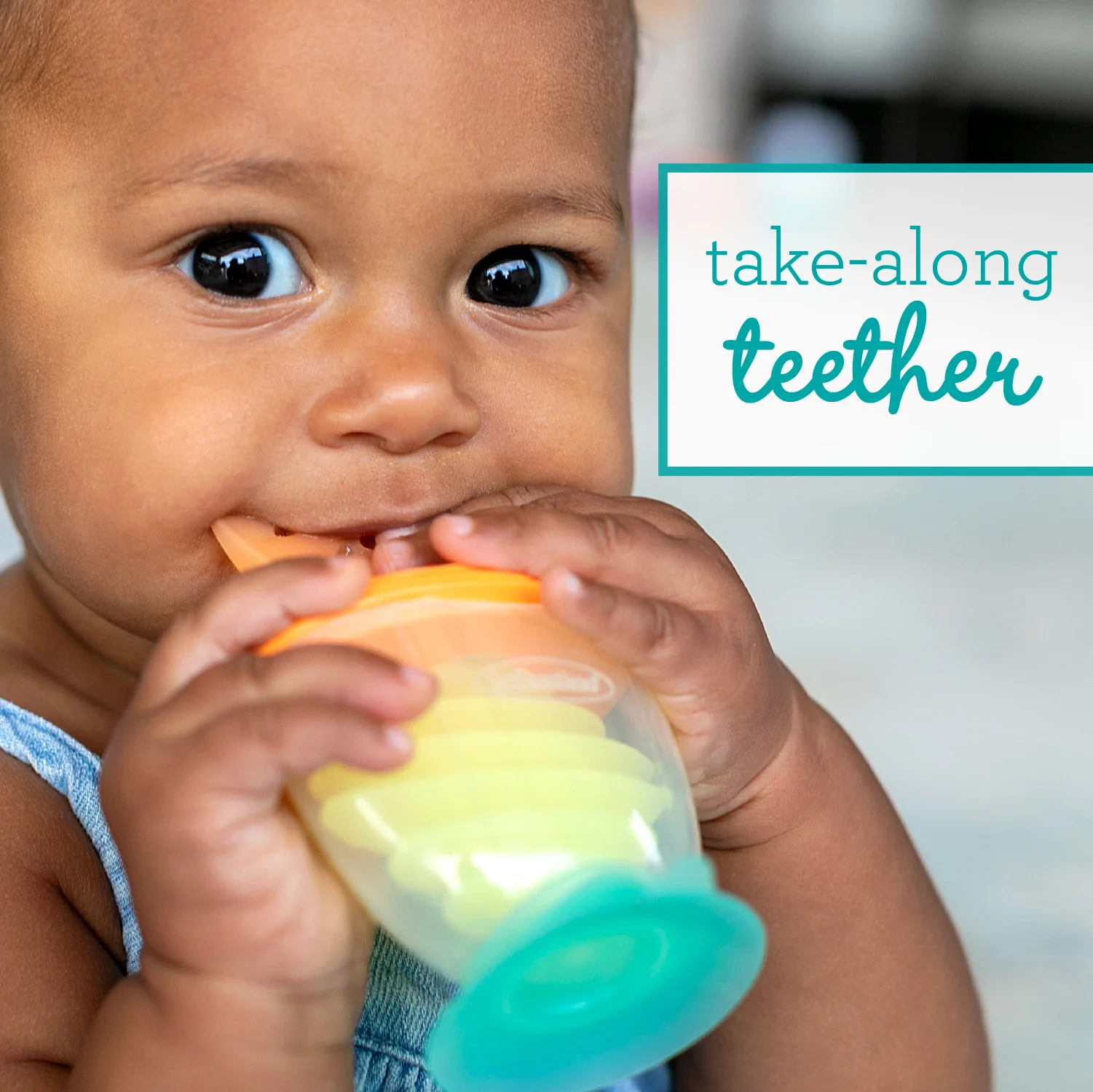 Dip & Taste Teethers - Image 3