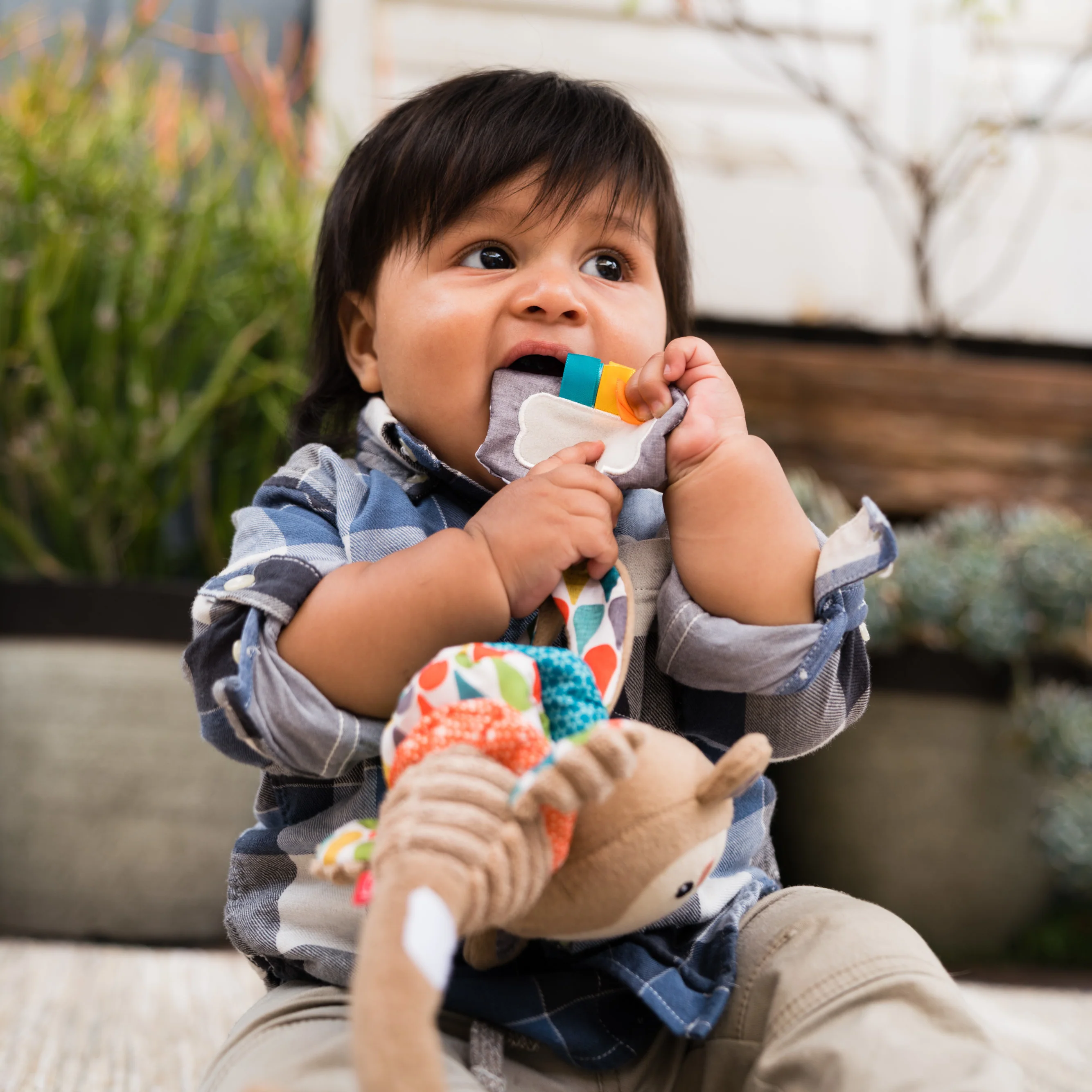 Musical Pull Down™ Monkey - Image 3