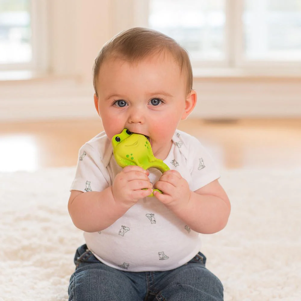 Squeeze & Teethe Textured Pal™ - Frog - Image 3